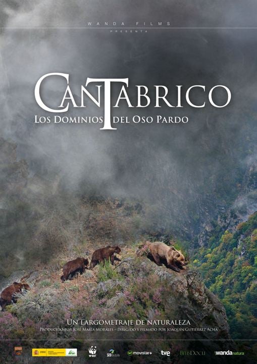 Cantábrico: Los dominios del oso pardo : Cartel