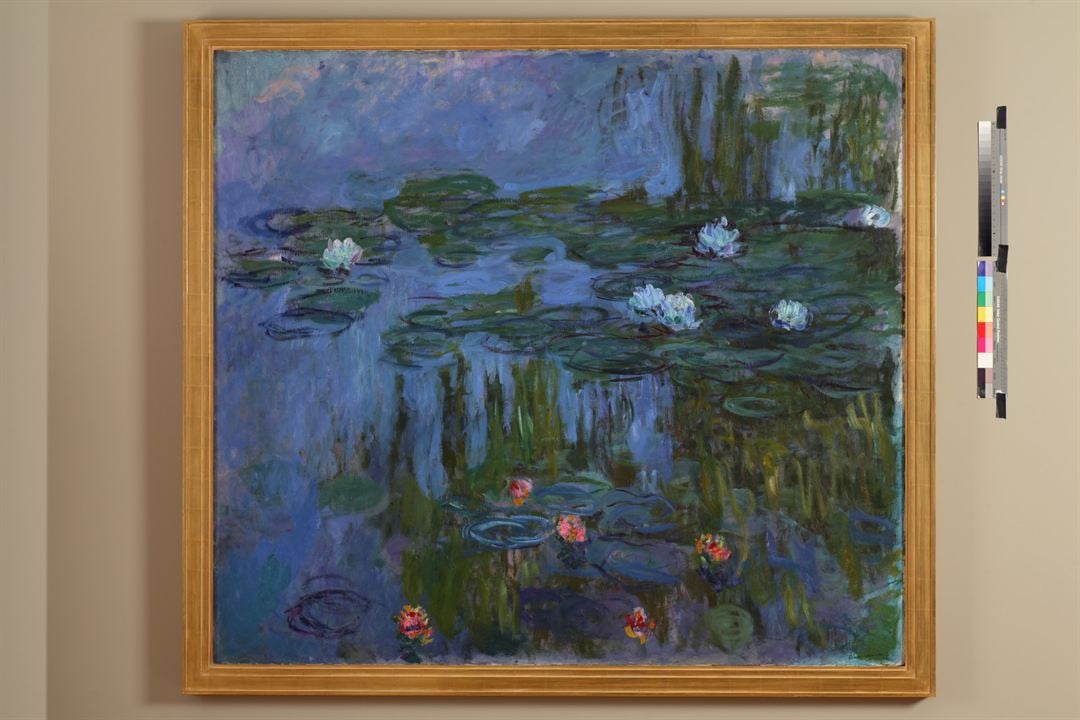 Pintando el jardín moderno: De Monet a Matisse : Foto