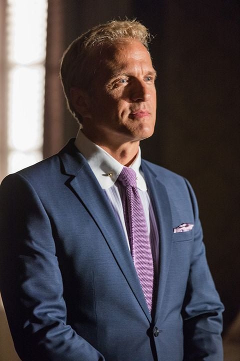 Better Call Saul : Foto Patrick Fabian