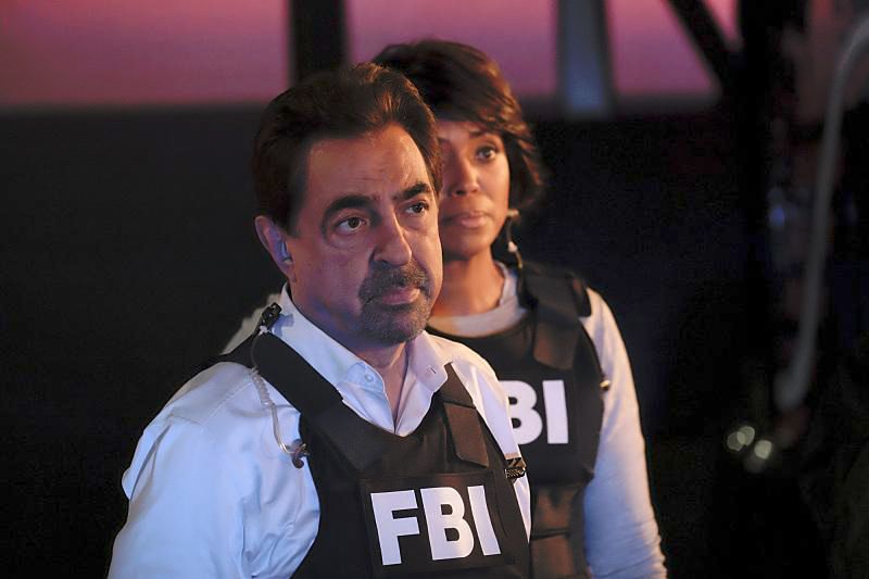 Mentes criminales : Foto Joe Mantegna