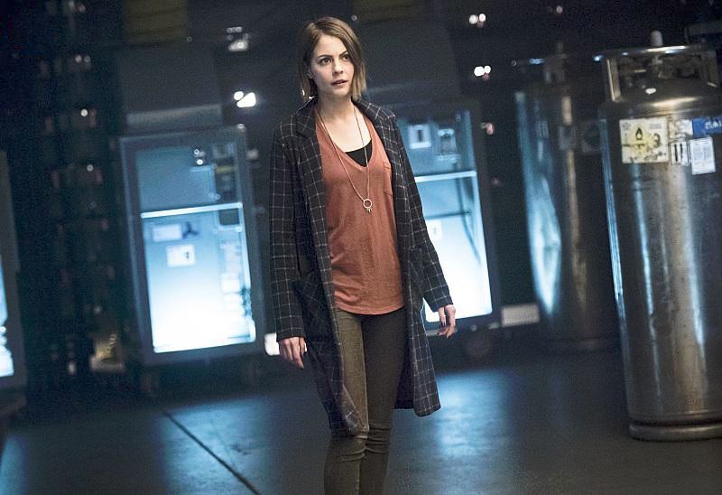 Arrow : Foto Willa Holland