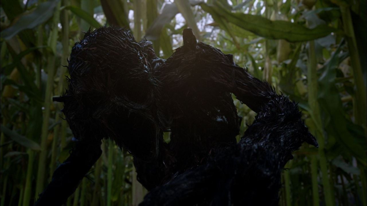 Scarecrow, la maldición del espantapájaros : Foto