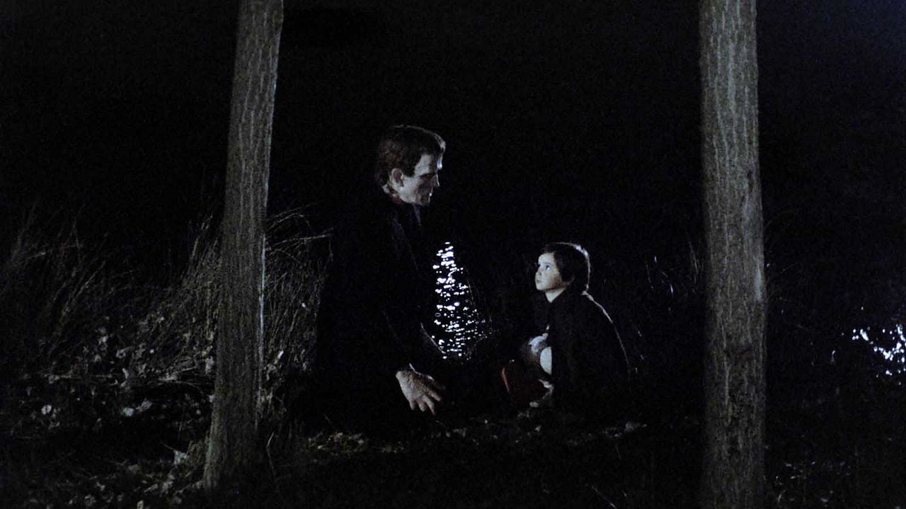 El espíritu de la colmena : Foto