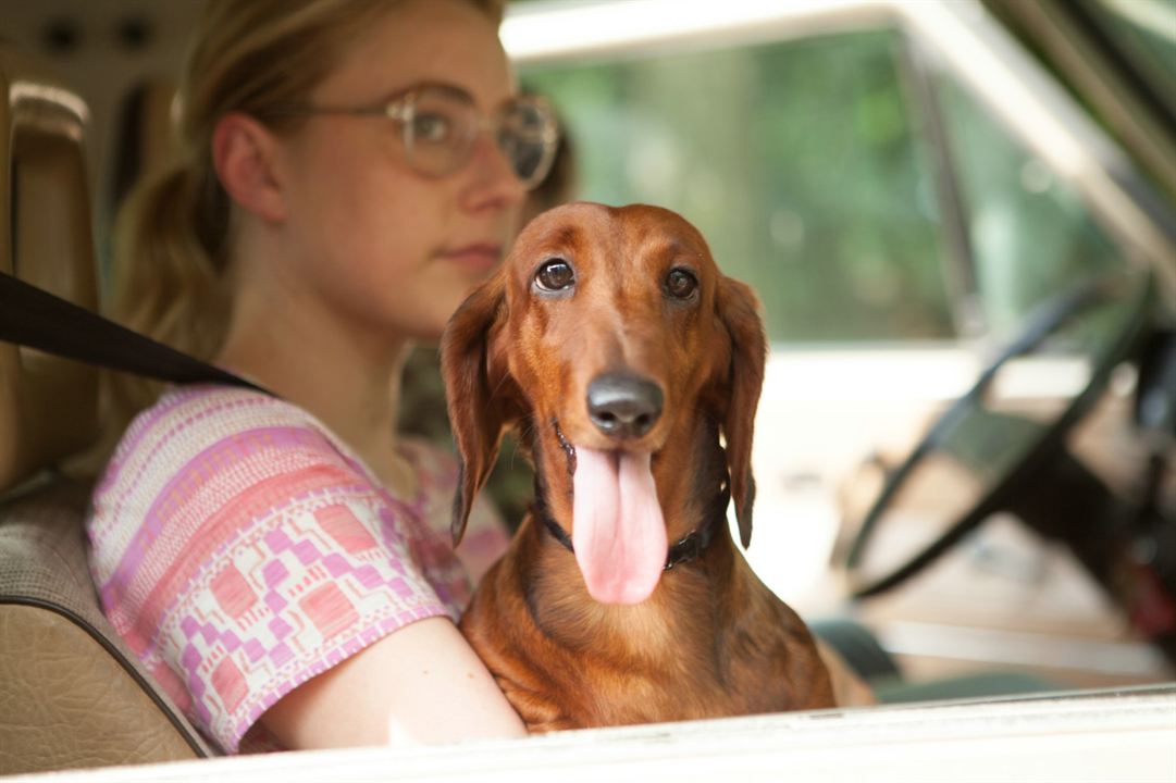 Wiener-Dog : Foto Greta Gerwig