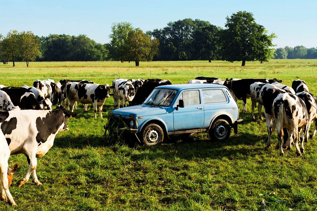 Goodbye Berlin : Foto