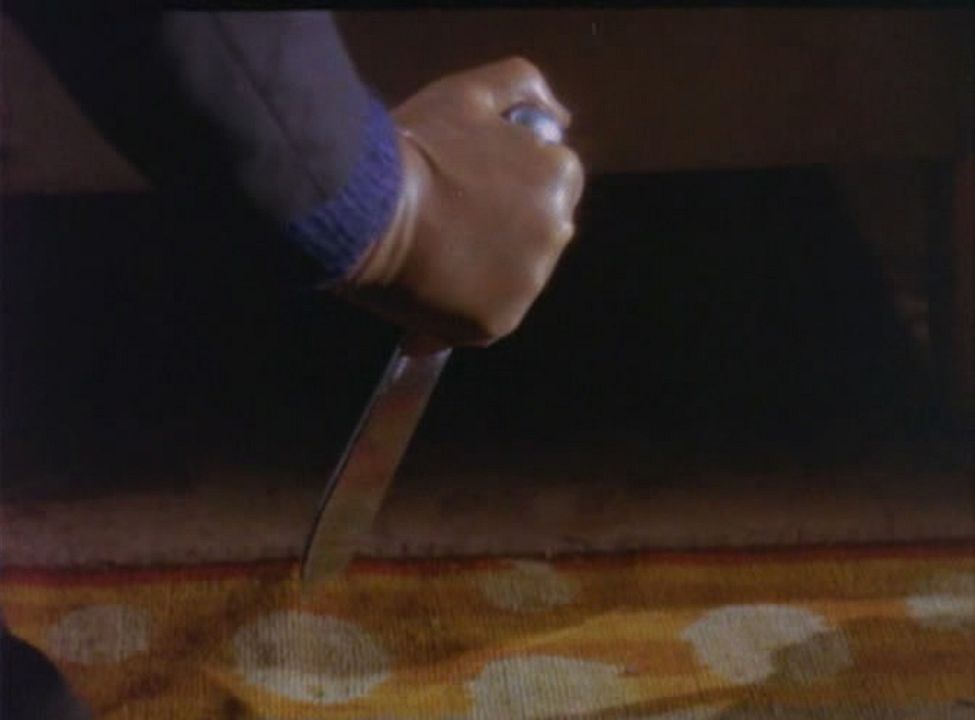 La tarántula del vientre negro : Foto