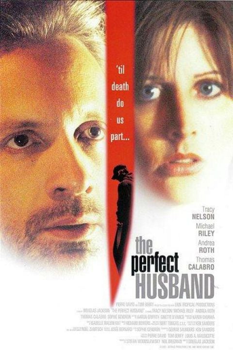 El marido perfecto : Cartel