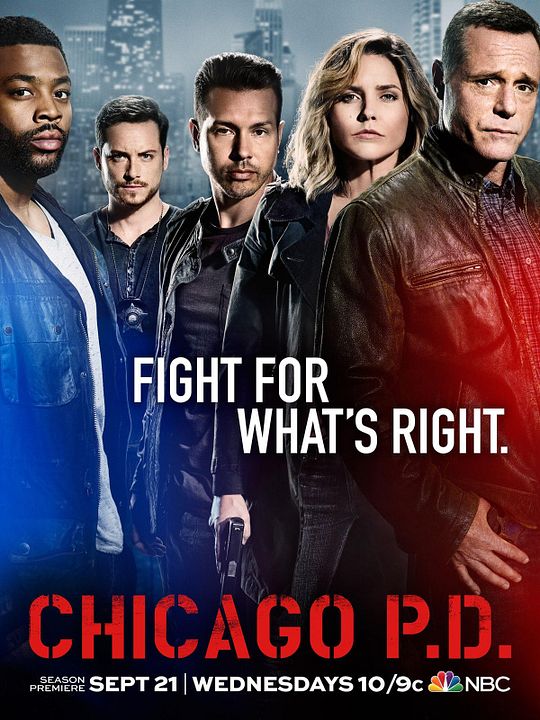 Chicago PD : Cartel