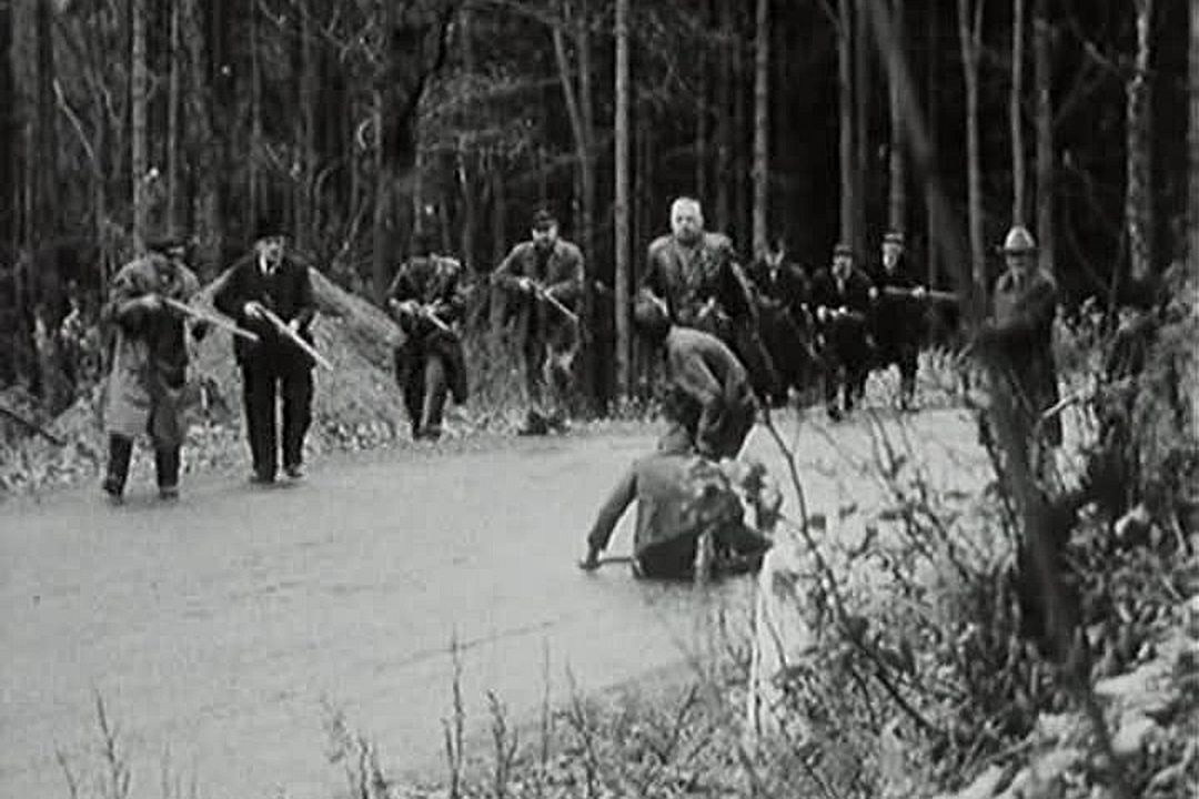 Diamantes de la noche : Foto