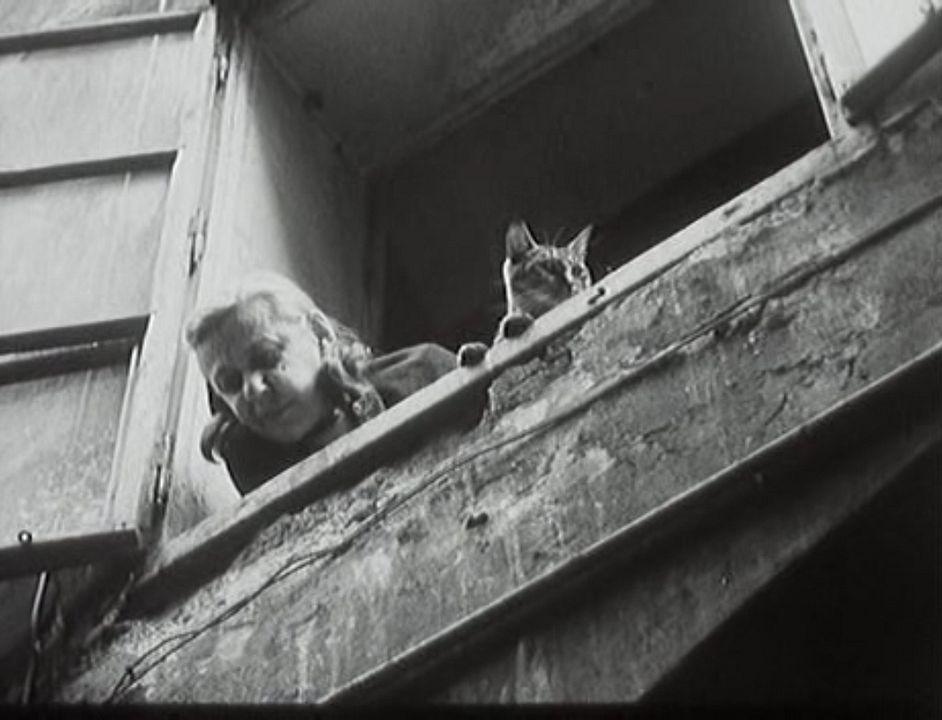 Diamantes de la noche : Foto