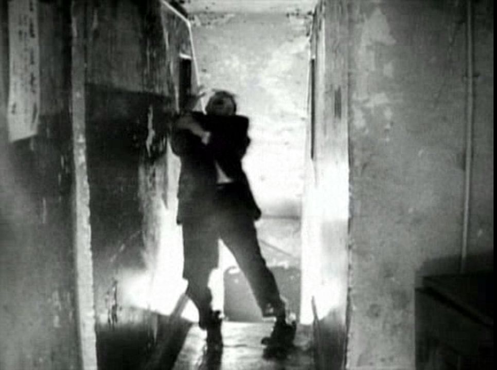 Diamantes de la noche : Foto