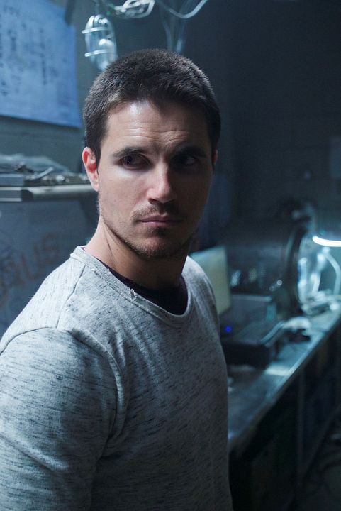 ARQ : Foto Robbie Amell