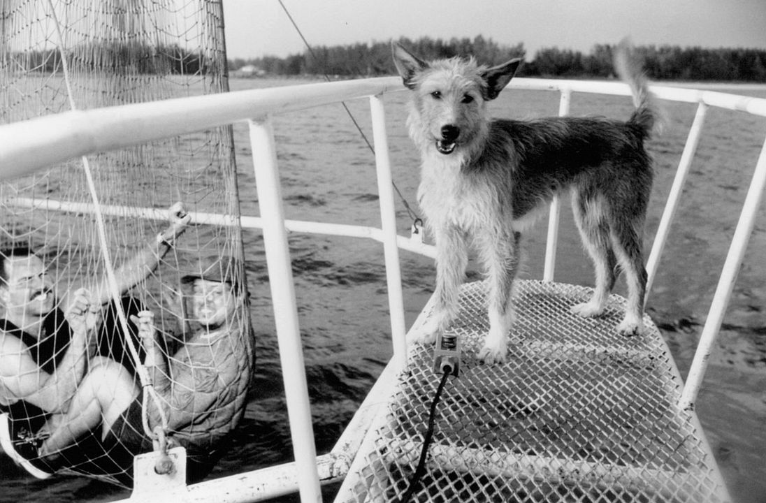 Zeus y Roxana : Foto