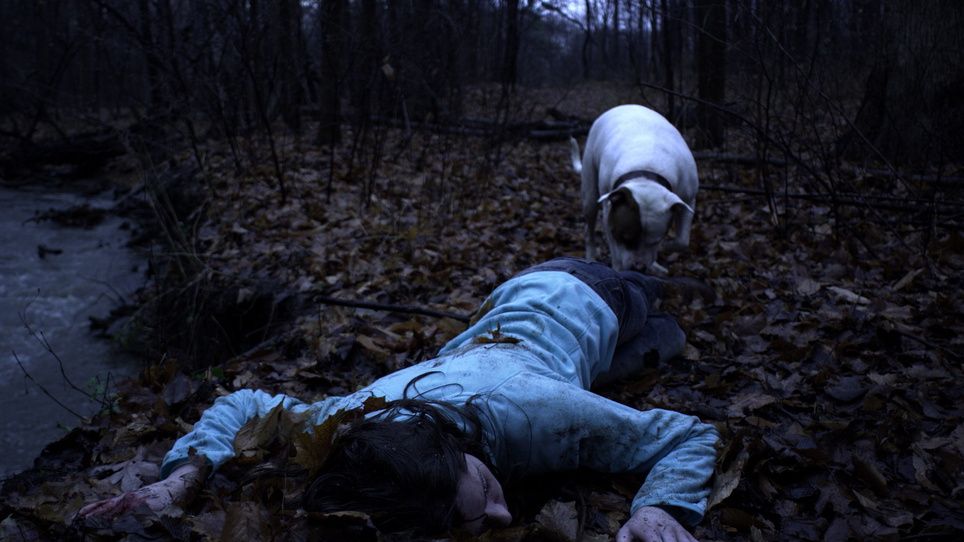 A Kiss and a Promise : Foto