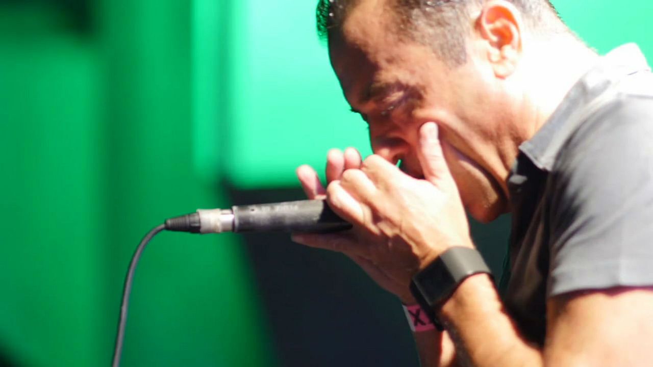 Geometría del esplendor : Foto