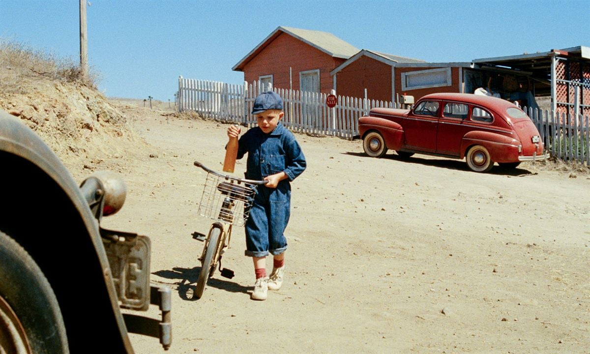 Little Boy : Foto Jakob Salvati