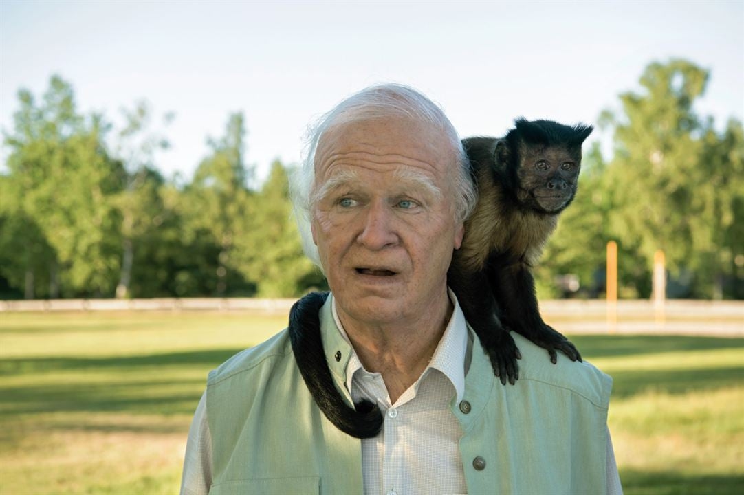 El abuelo que no pagó la cuenta y se largó : Foto Crystal the Monkey, Robert Gustafsson
