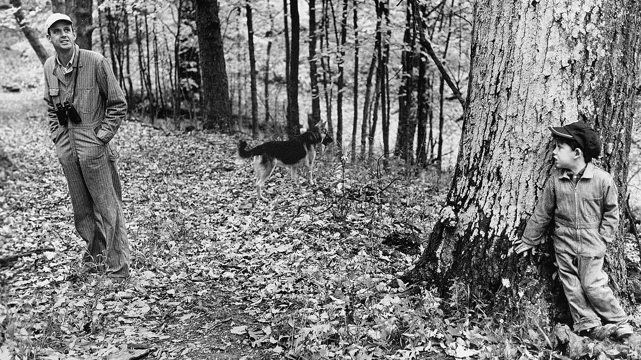 Look & See: A Portrait of Wendell Berry : Foto