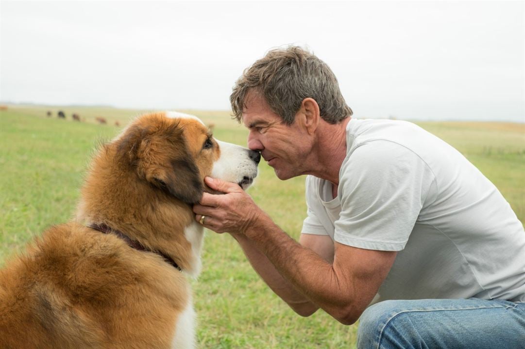 Tu mejor amigo : Foto Dennis Quaid