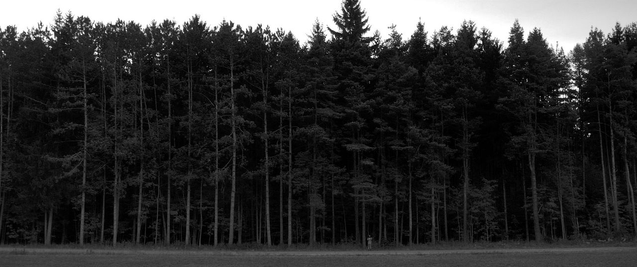 The Eyes Of My Mother : Foto