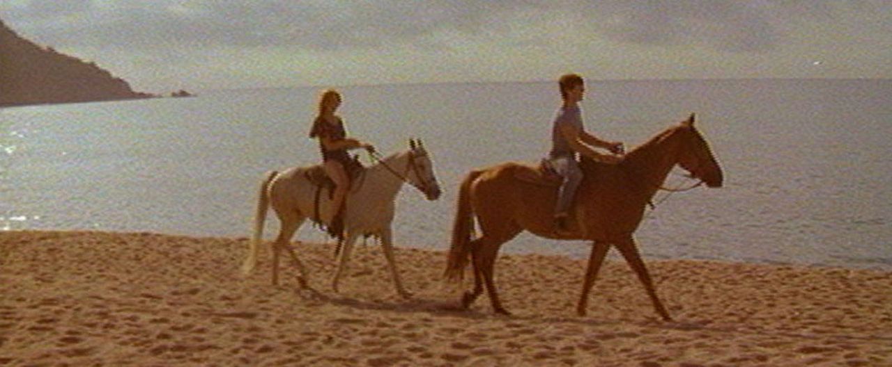 El último pecado de la burguesía : Foto