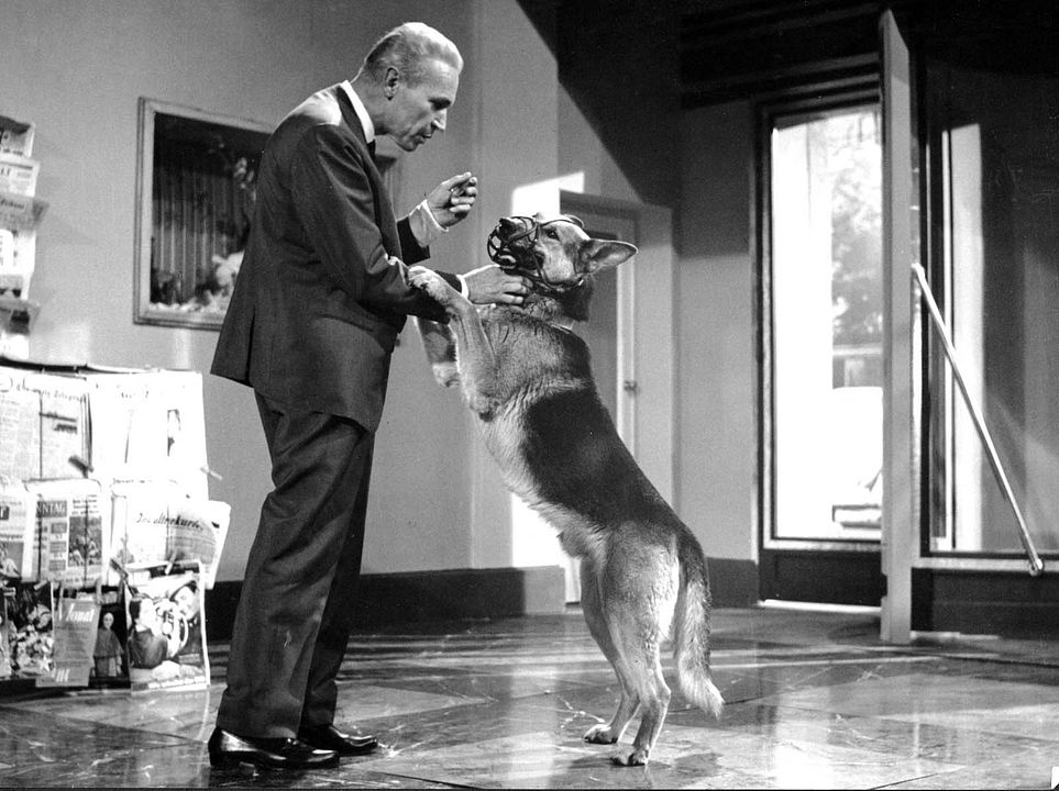 Los crímenes del Dr. Mabuse : Foto