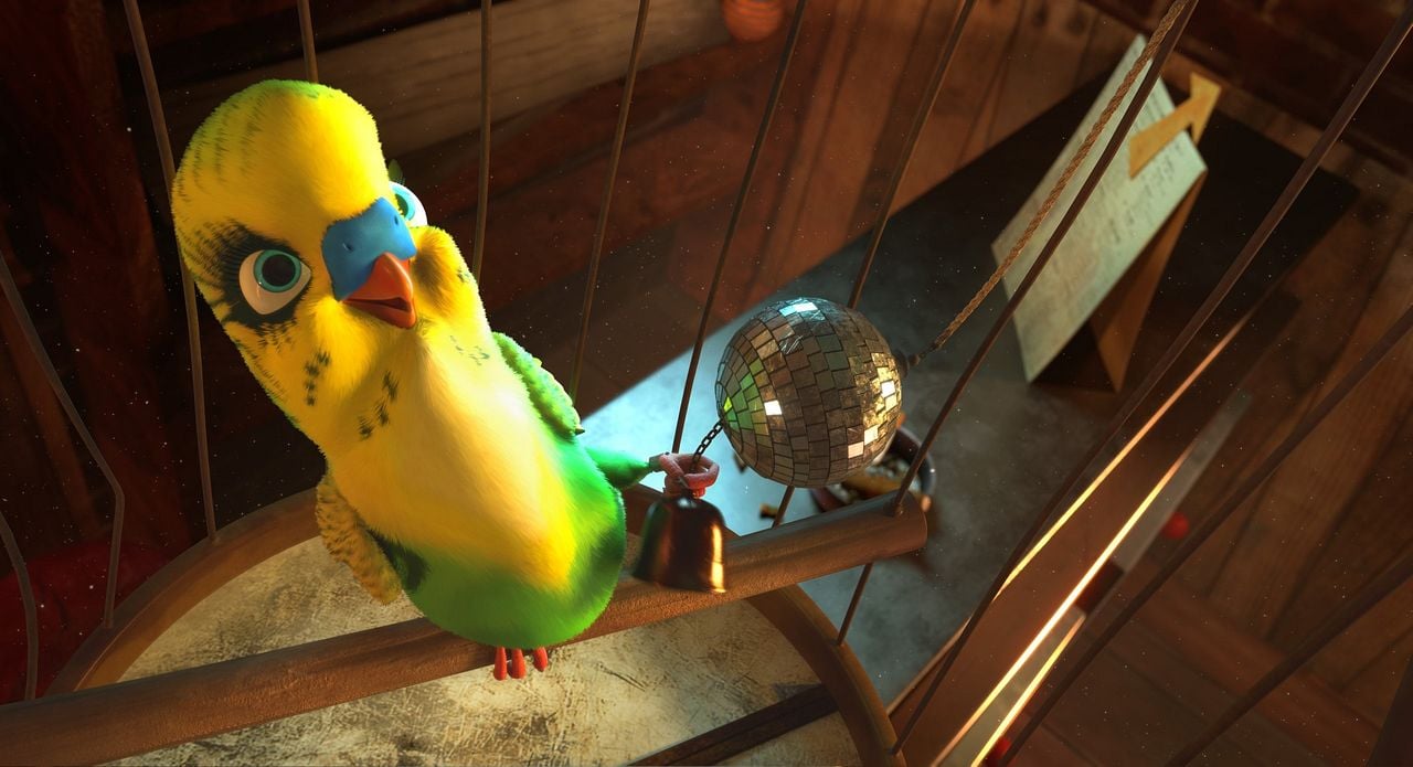 Richard, la cigüeña : Foto