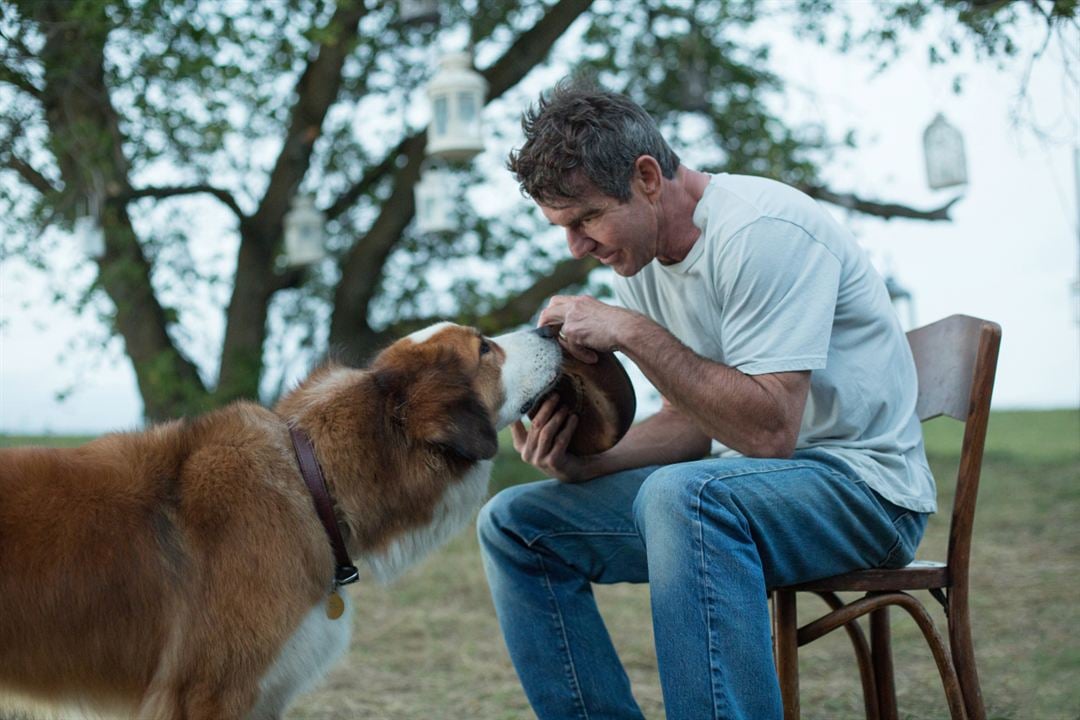 Tu mejor amigo : Foto Dennis Quaid