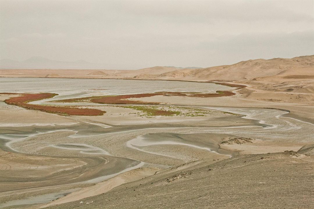 El sueño de Antonio Raimondi: El Perú : Foto