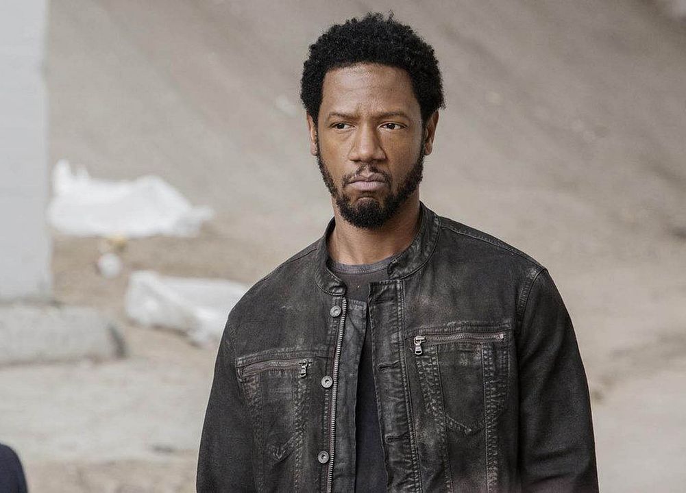 Colony : Foto Tory Kittles