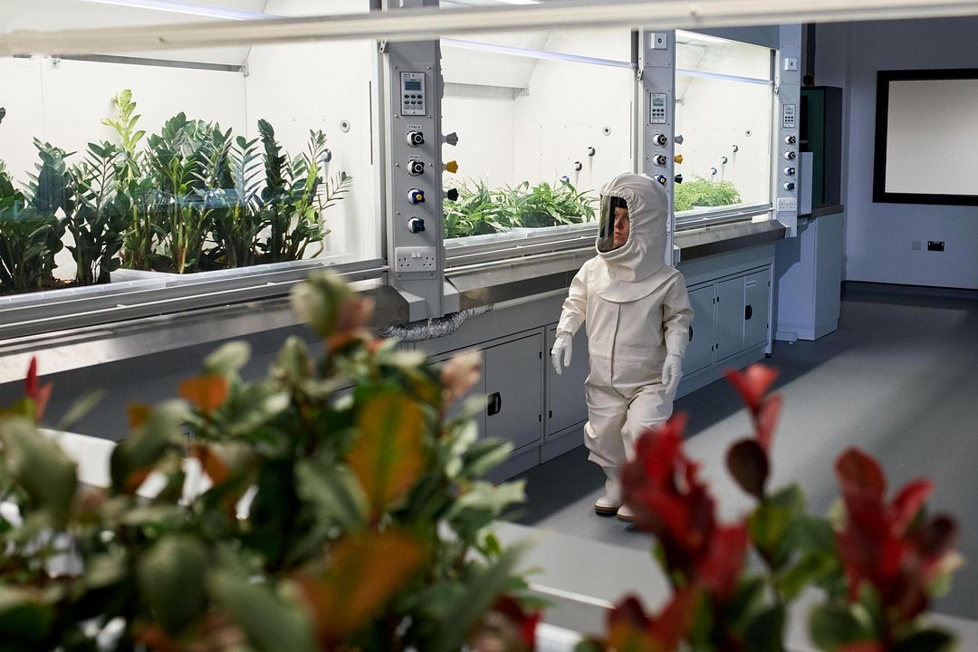 Doctor Who (2005) : Foto