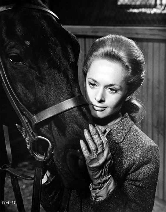 Marnie, la ladrona : Foto Tippi Hedren