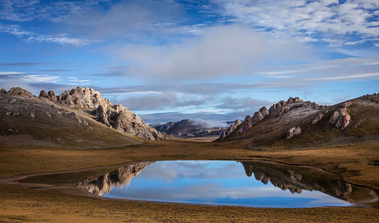 Nacidos en China : Foto