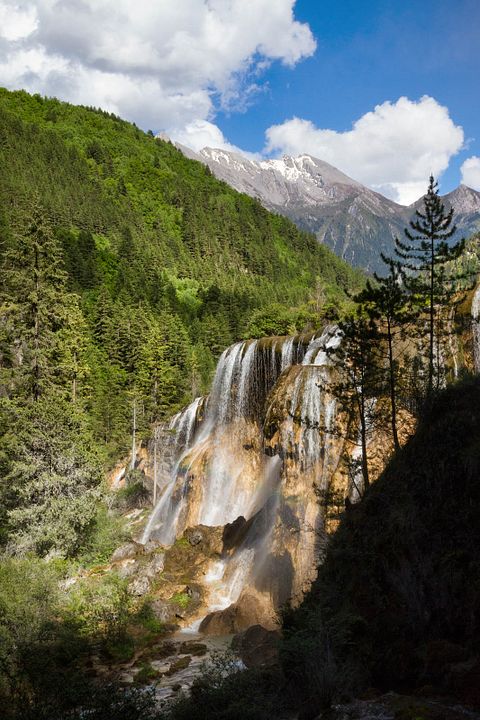 Nacidos en China : Foto
