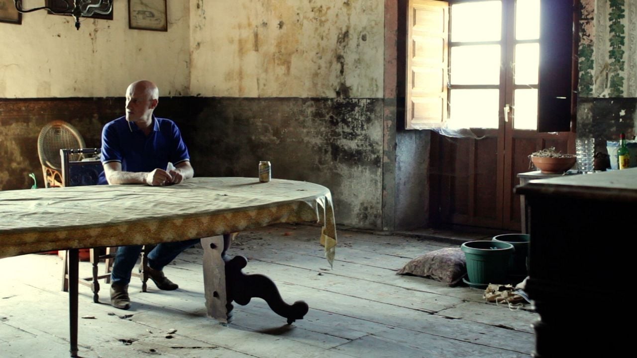 Mi vida entre las hormigas : Foto