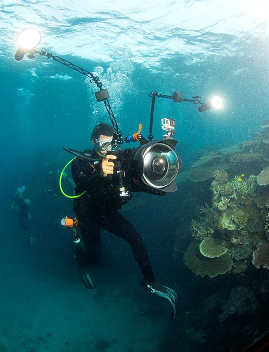 En busca del coral : Foto Jeff Orlowski
