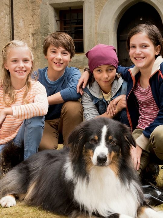 Los Cinco y el Valle de los Dinosaurios : Cartel