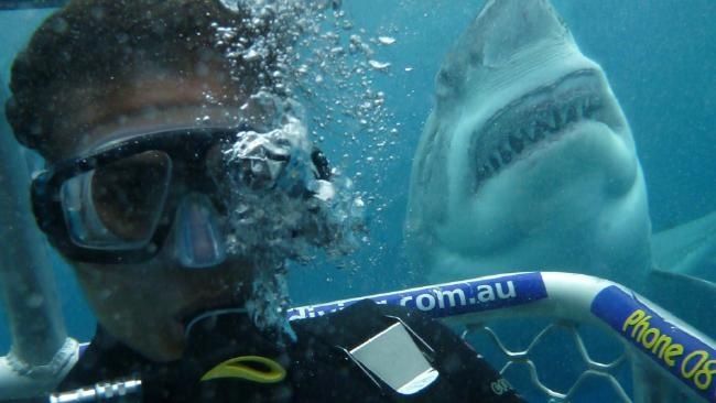 Open Water: Inmersión extrema : Couverture magazine