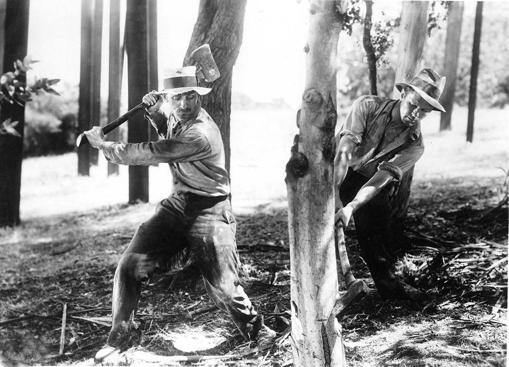 El pan nuestro de cada día : Foto