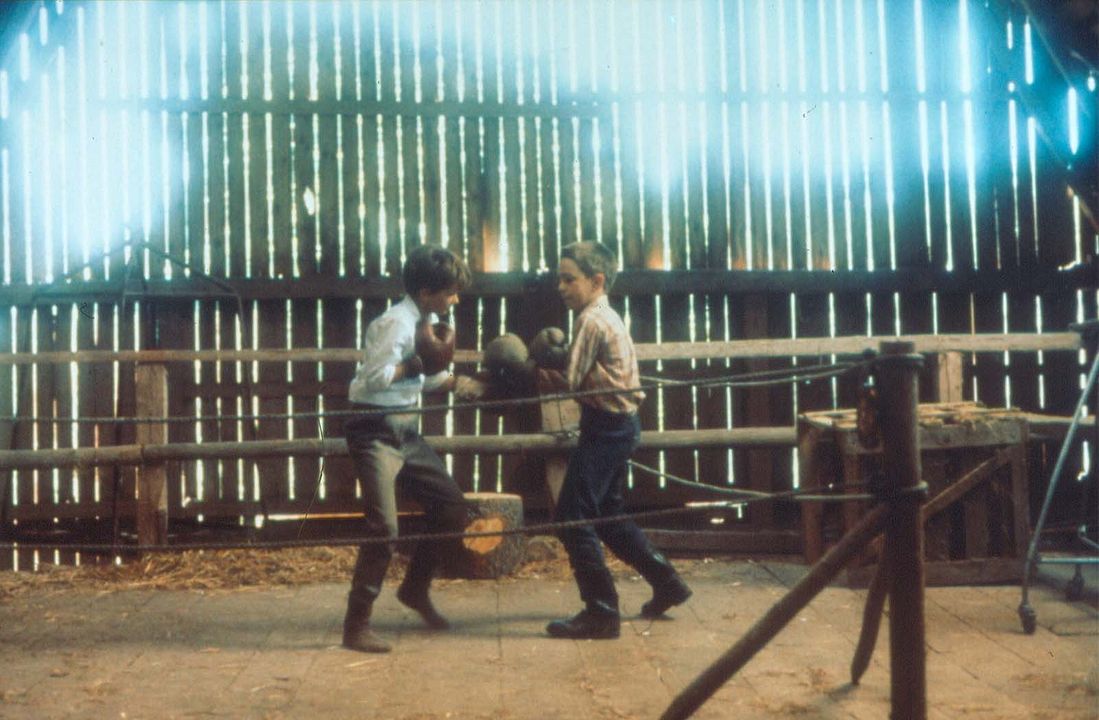 Mi vida como un perro : Foto