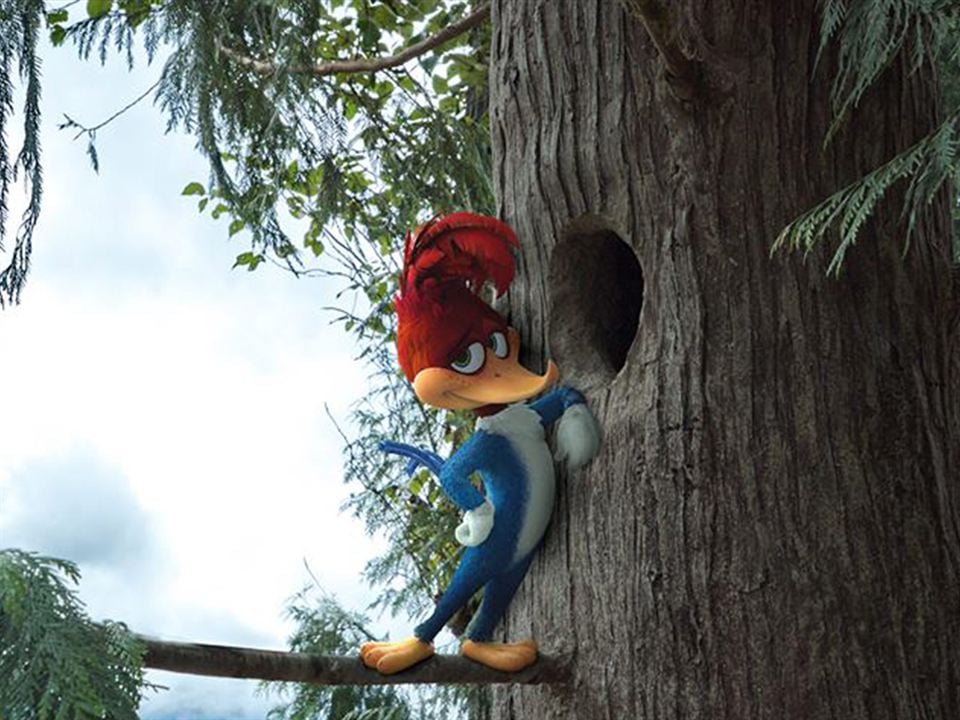 Woody Woodpecker : Foto