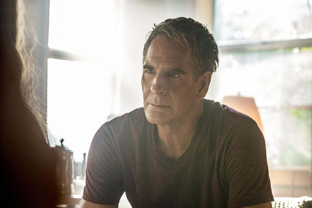 NCIS : Nueva Orleans : Foto Scott Bakula