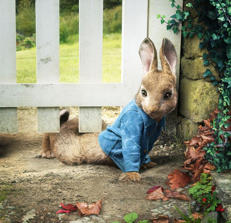 Peter Rabbit : Foto
