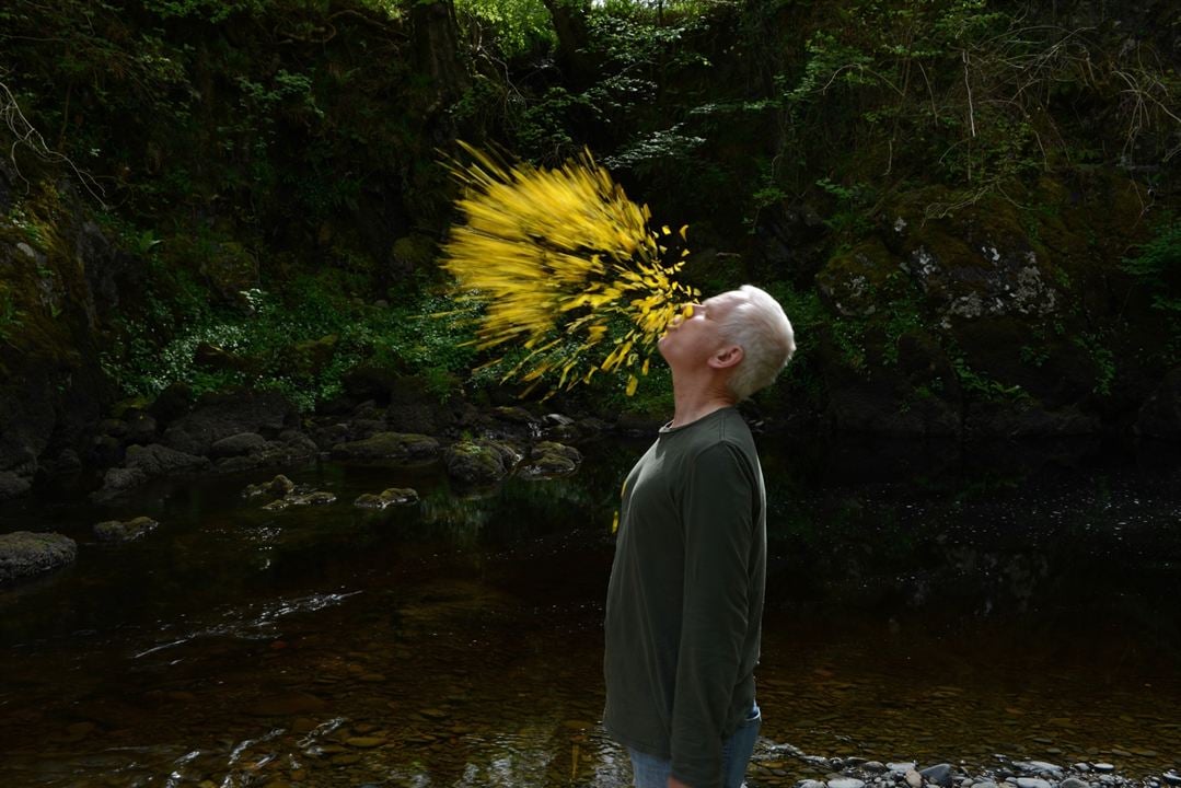 Foto Andy Goldsworthy