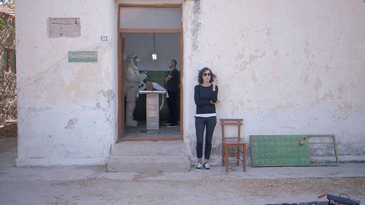 Kelebekler : Foto