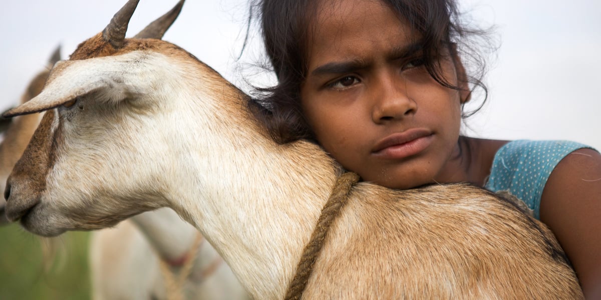 Village Rockstars : Foto