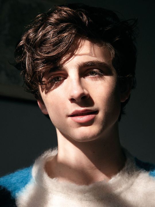 Cartel Timothée Chalamet