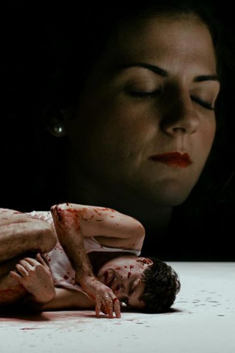 Terra cremada : Cartel