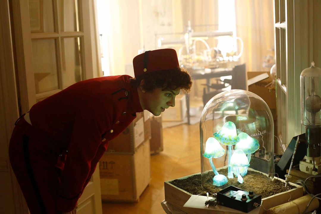 Foto Thomas Solivérès