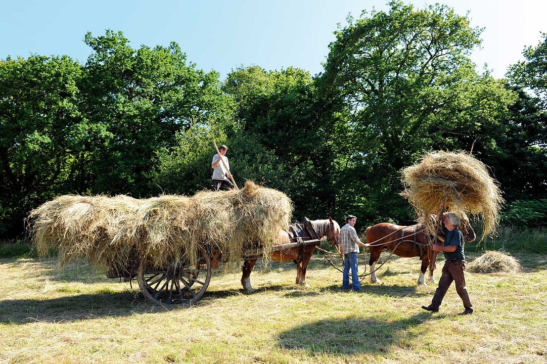 Les Sillons de la liberté : Foto